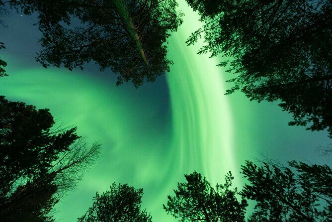 Private Aurora Hunting with Professional Photographer from Alta - Beyond the Surface: What to Expect from Your Aurora Hunt