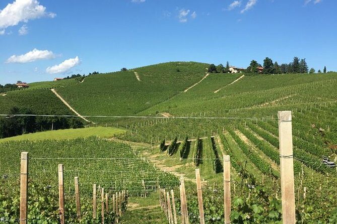 Private Barolo / Barbaresco - Piedmont Wine Tours and Tastings - Practical Tips for Your Experience