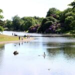 Private Beatles Car Tour, Penny Lane, Strawberry Field & childhood homes - The Itinerary: What Makes Each Stop Special