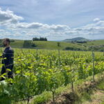 Private Beaujolais Wine Tour - A Deep Dive into the Beaujolais Experience