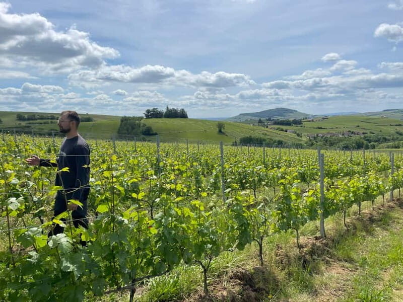 Private Beaujolais Wine Tour - A Deep Dive into the Beaujolais Experience