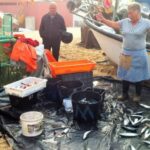 Private Best Fish Experience - Exploring the Day in Detail