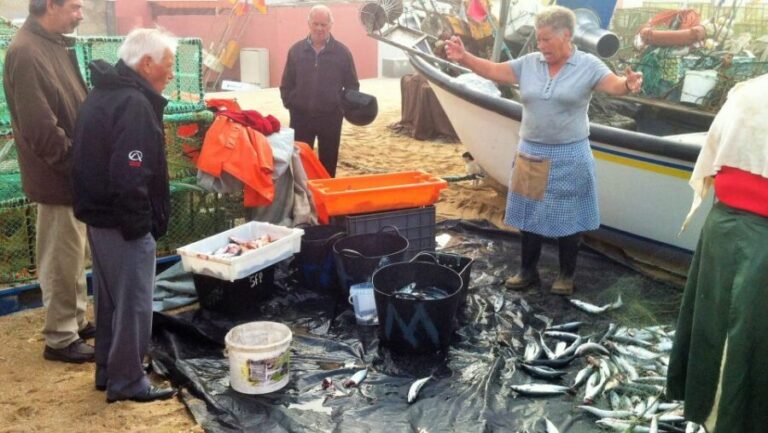 Private Best Fish Experience - Exploring the Day in Detail