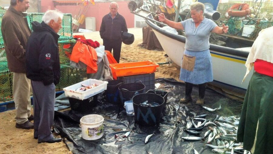 Private Best Fish Experience - Exploring the Day in Detail