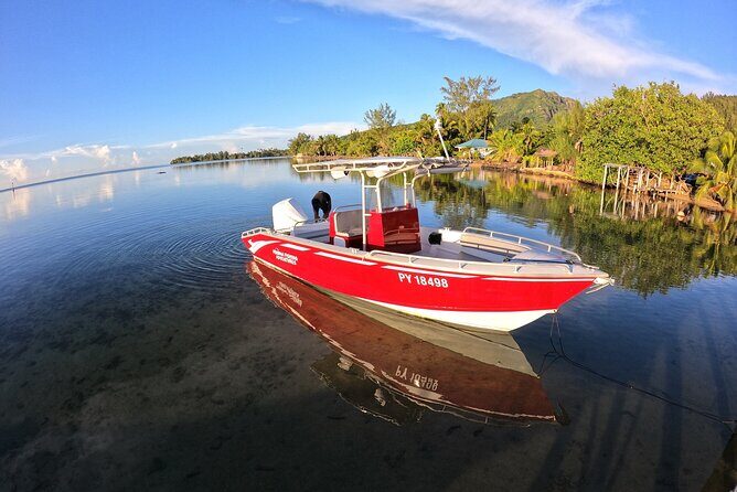 Private Big Game Fishing Day - Why This Tour Offers Great Value