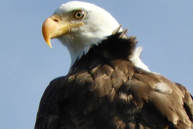 Private Birding Hike in Rocky Mountain National Park - FAQs