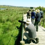 Private Birdwatching from Porto - A Detailed Breakdown of the Experience