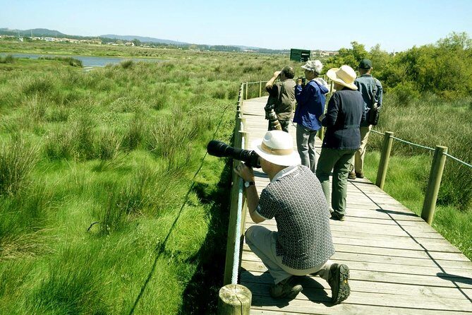 Private Birdwatching from Porto - A Detailed Breakdown of the Experience