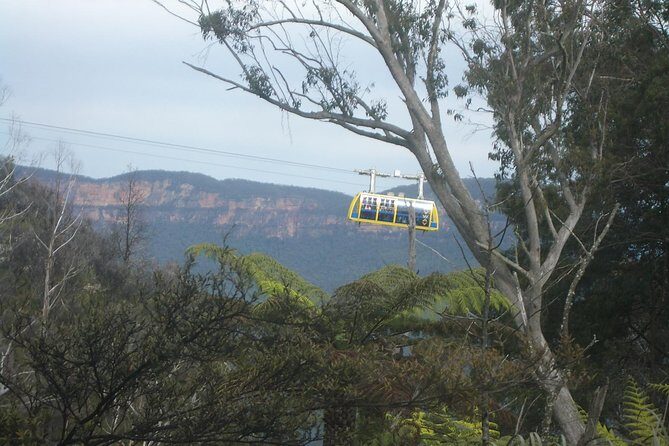 PRIVATE Blue Mountains day tour with local guide. - Who Will Love This Tour?