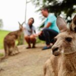 Private Blue Mountains High Country Day Trip from Sydney - The Value of a Private, Fully Inclusive Tour