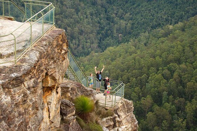 Private Blue Mountains Insider Tour from Sydney - Discovering the Botanic Beauty at Mt Tomah