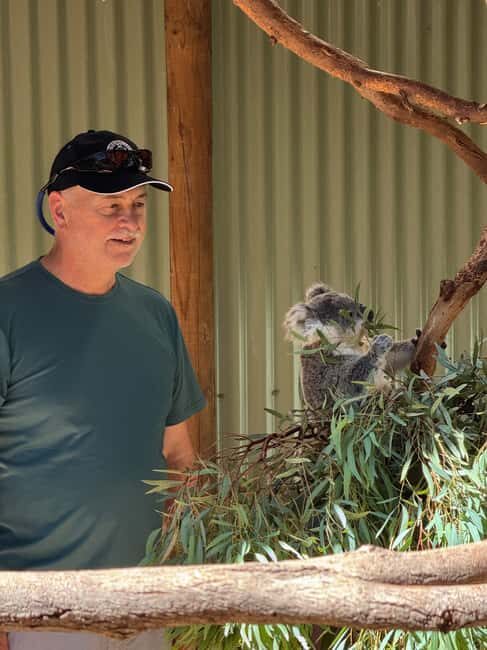Private BlueMountains, ScenicWorld & AustralianWildlife Tour - An In-Depth Look at the Tour Experience