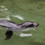 Private boat charter in Abel Tasman National Park - The Sum Up