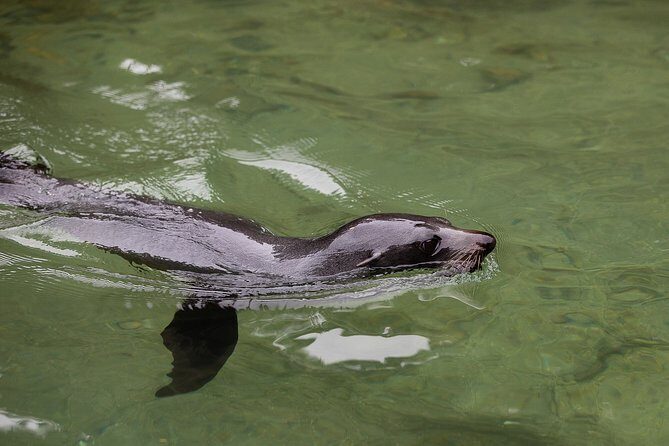 Private boat charter in Abel Tasman National Park - The Sum Up