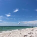 Private Boat Charters in Saint James - Practical Details and Tips