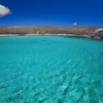 Private Boat Delos and Rineia Cruise Tour - Who Will Enjoy This Tour?