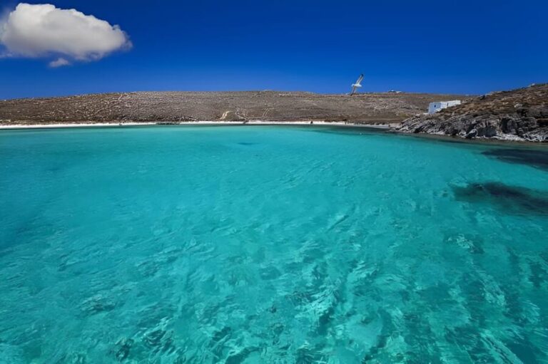 Private Boat Delos and Rineia Cruise Tour - Who Will Enjoy This Tour?