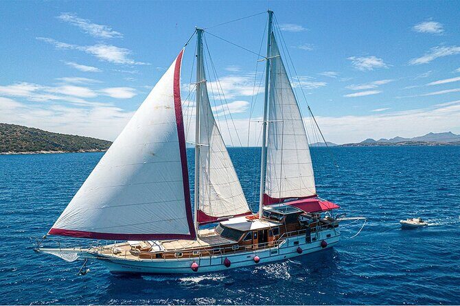Private Boat Experience in Bodrum Coast with Snorkeling and Coves - Authenticity and Value