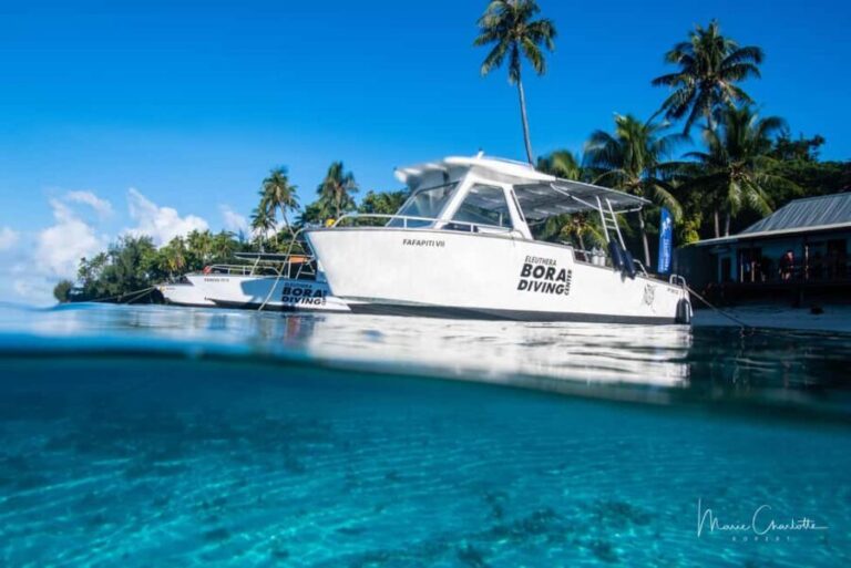 Private Boat for your Romantic Dive in Bora Bora - Exploring Bora Bora’s Underwater World in Style