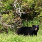 Private Boat Tour of Misty Fjords from Ketchikan - Final Thoughts