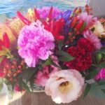 Private Boat Tour Portofino, Golfo Paradiso and Tigullio - Who Should Consider This Tour?
