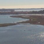 Private Boat Tour to Murano, Burano and Torcello - What Travelers Can Expect