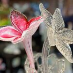 Private Bohemian Glass and Czech Crystal Tour with lunch included - Who Will Love This Tour?