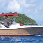Private Bora Bora Lagoon Experience - Who Should Consider This Tour?