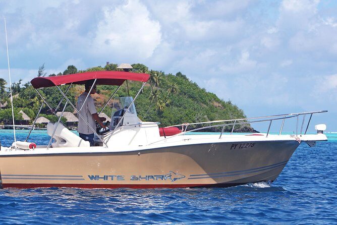 Private Bora Bora Lagoon Experience - Who Should Consider This Tour?