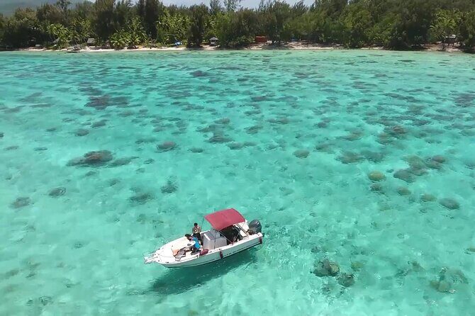 Private Bora Bora Lagoon & Water Lunch Experience - The Sum Up: Who Should Consider This Tour?