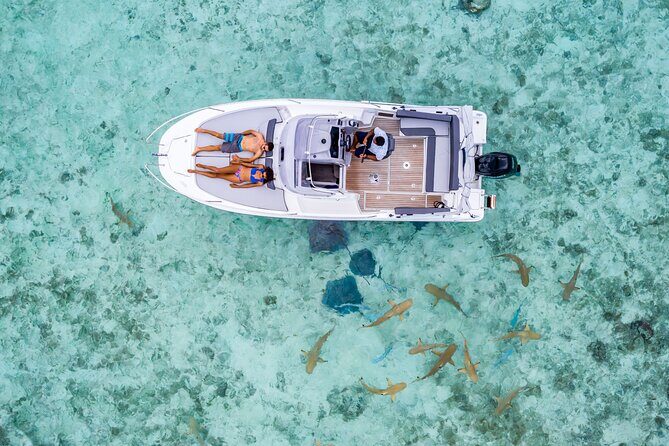 Private Bora Bora Snorkeling Cruise with Optional Vegetarian Lunch on the Beach - FAQ