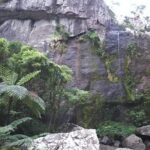 Private Breathtaking Koroyanitu Half Day Waterfall Hike - Who Should Consider This Tour?