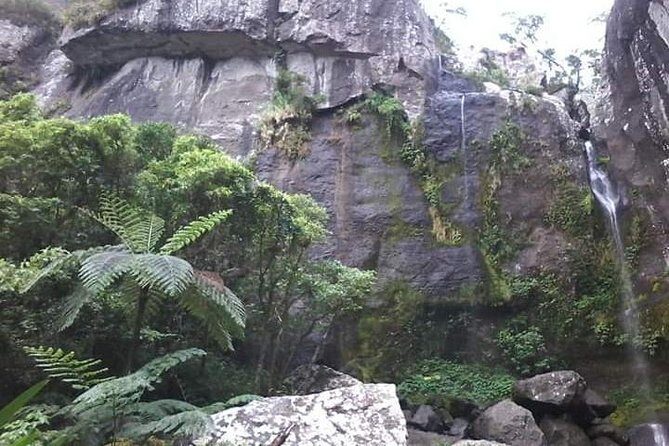 Private Breathtaking Koroyanitu Half Day Waterfall Hike - Who Should Consider This Tour?