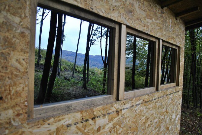 Private Brown Bear Watching Experience near Odorheiu Secuiesc - The Practical Aspects: Price, Duration, and What’s Included