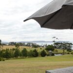 Private Bruny Island Discovery Tour - Who Would Love This Tour?