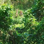 Private Bucket List Adventure Day- Hikes, Beaches, Waterfalls - What to Expect on the Day