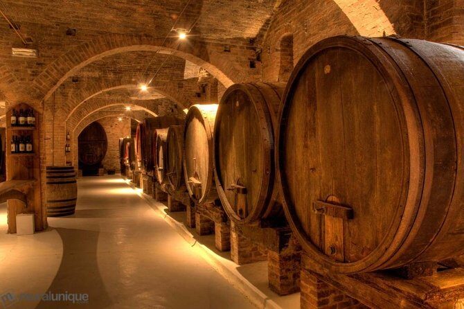Private Budapest sightseeing tour including Etyek Wine tour with lunch - Transportation and Comfort
