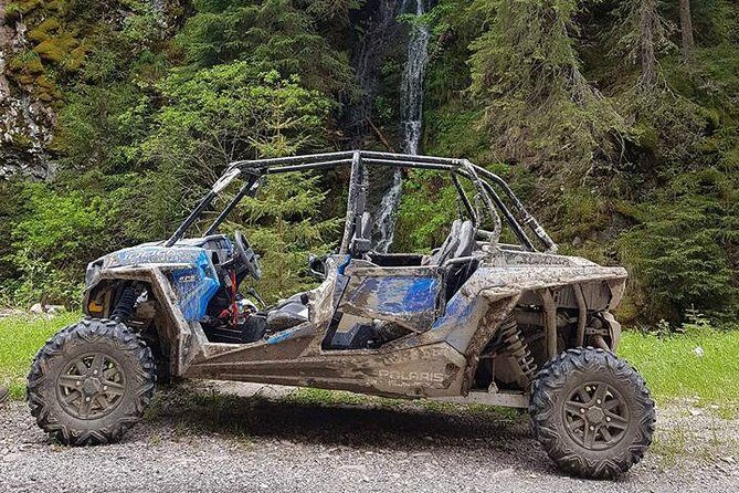 Private Buggy Experience All Seasons in Pamporovo - What You Can Expect During the Ride
