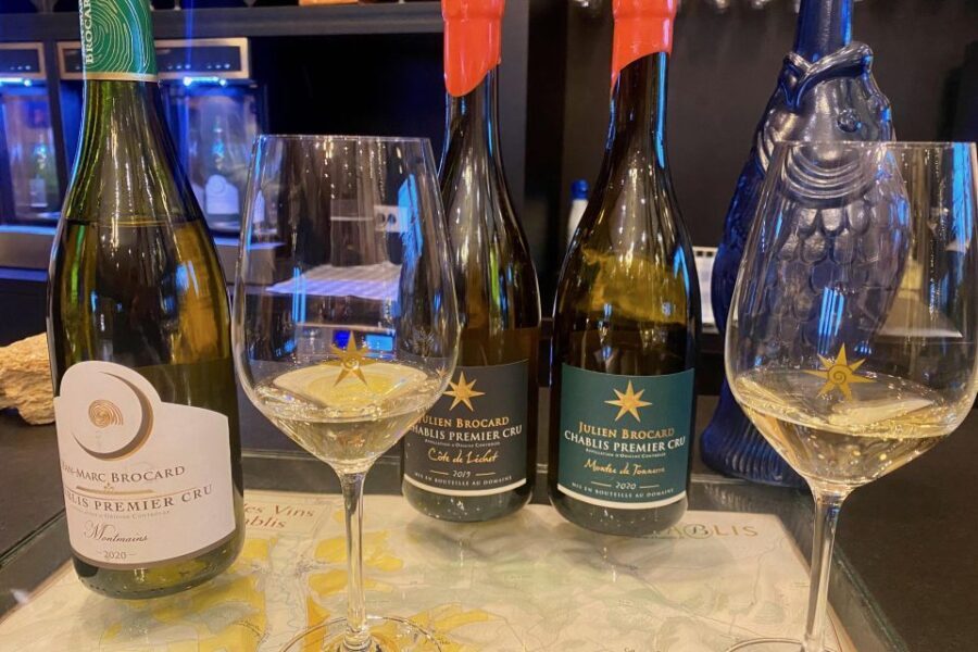 Private Burgundy 4 Domains 20 Chablis Wines Caves from Paris - The Journey Begins: Convenience and Comfort