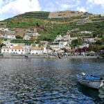 Private Câmara de Lobos Fishing Village Tour - What to Expect: A Breakdown of the Itinerary