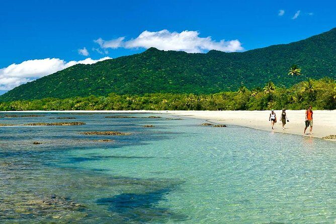 Private Cape Tribulation & Mossman Gorge Day Tour - Authentic Experiences and Authentic Guides
