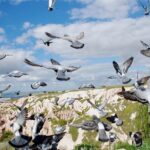 Private Cappadocia Blue Tour - Final Thoughts