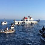 Private Capri and Blue Grotto Day Tour From Sorrento - The Sum Up