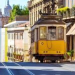 Private Car Half Day Tour - All Highlights - Who Will Love This Tour?