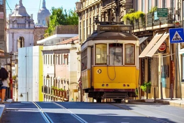 Private Car Half Day Tour - All Highlights - Who Will Love This Tour?
