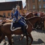 Private Car Tour of Stockholm with a Live guide, including the Vasa museum. - Who Would Love This Tour?