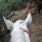 Private Cascades Waterfall Horseback Riding Tour from Smolyan - Experience Quality and Authenticity: What Travelers Say