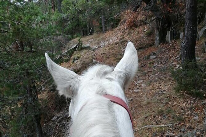 Private Cascades Waterfall Horseback Riding Tour from Smolyan - Experience Quality and Authenticity: What Travelers Say