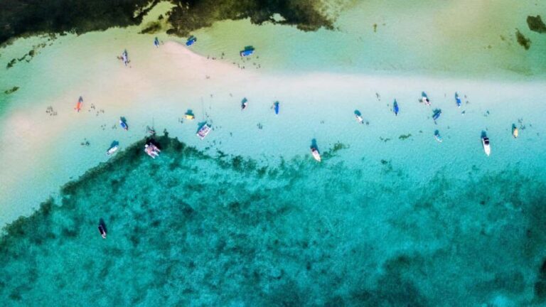 Private Catamaran in Cozumel: El Cielo and Turtle Sanctuary - Who Will Love This Tour?