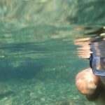 Private Catamaran: Snorkel, Swim and Dolphin Watching - Pricing and Value